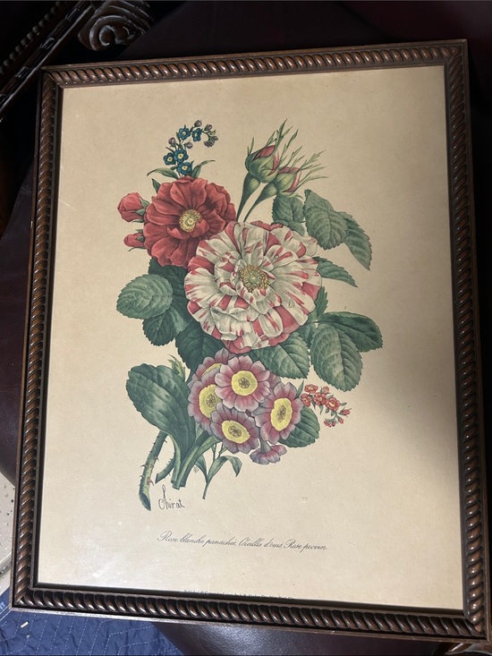 Other - Vintage Floral Botanical Print in Brown Frame - Red, Pink, Green